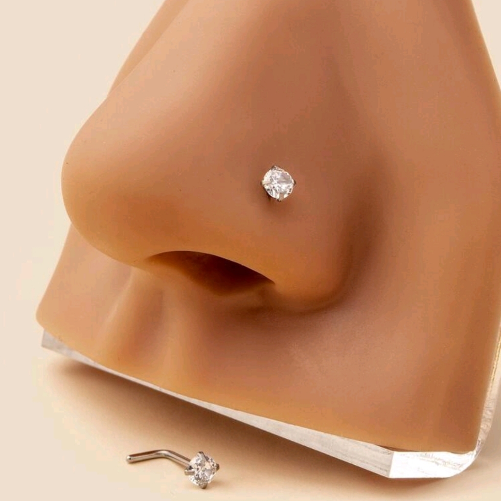 2 Nose Rings